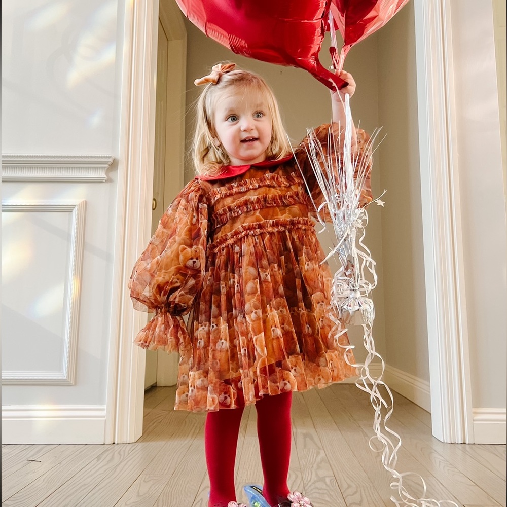 Raspberry Plum Bear Dress 2-3 T